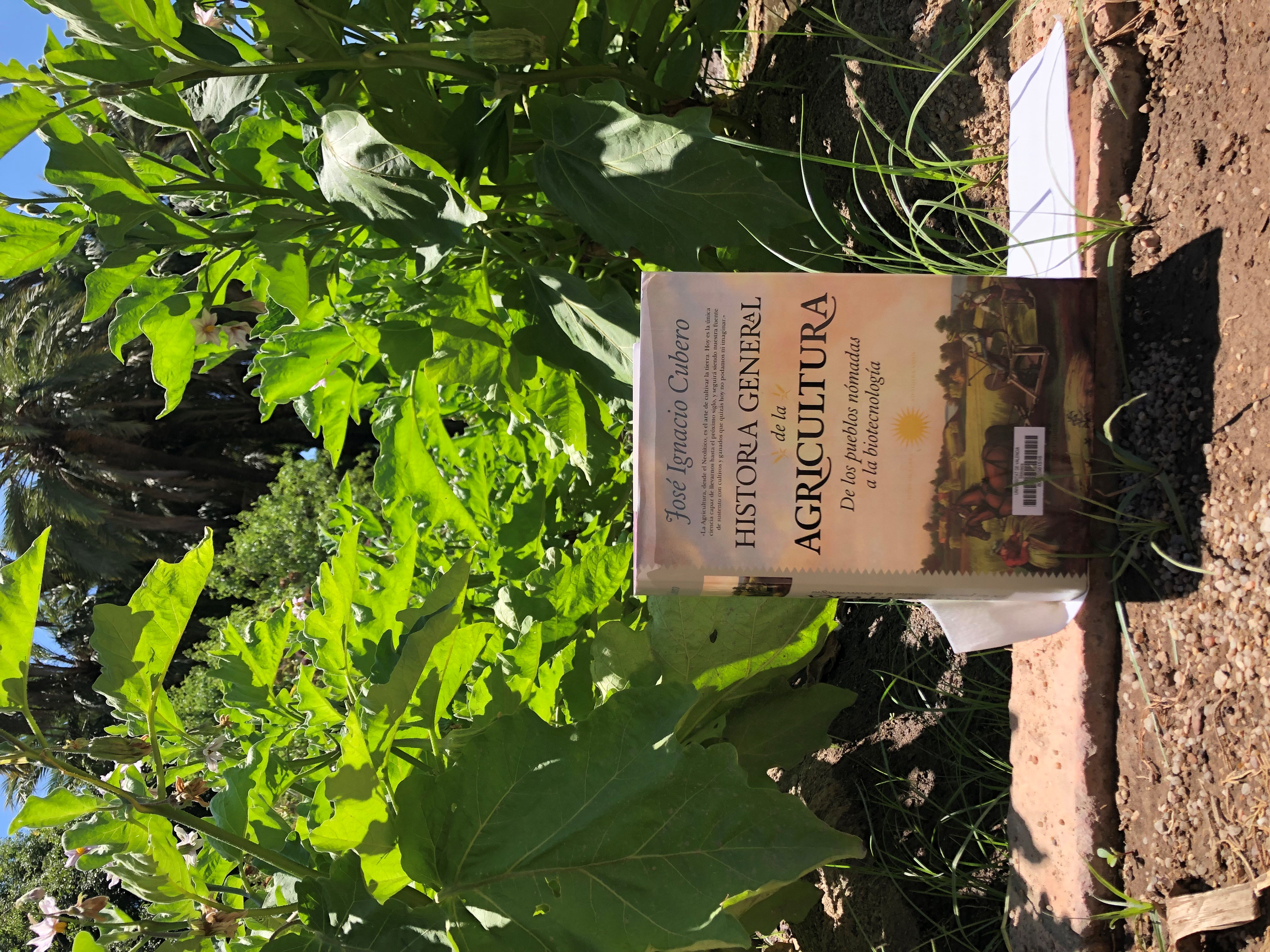 Historia general de la agricultura: de los pueblos nómadas a la biotecnología, de José Ignacio Cubero